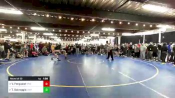 85 lbs Round Of 32 - Van Ferguson, Spring Grove vs Trey Salvaggio, Central Dauphin