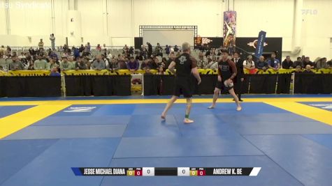 Andrew K. Be vs Jesse Michael Diana 2024 World IBJJF Jiu-Jitsu No-Gi Championship