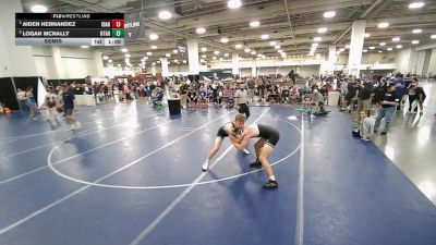 165 lbs Semis - Aiden Hernandez, Idaho vs Logan McNally, Utah
