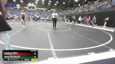 92 lbs Cons. Round 4 - Braxton Delzeit, Hays Wrestling Club vs Charlie Perea, Pomona Elite