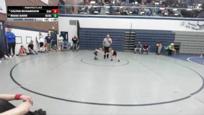 43 lbs Champ. Round 2 - Colton Richardson, 208 Badgers Wrestling Club vs Riggs Davis, Brothers Of Steel Wrestling Club