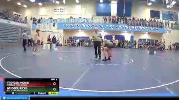 120 lbs Quarterfinal - Bridger Ricks, Box Elder High School vs Treygen Morin, Ridgevue High School