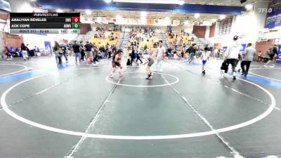 82-88 lbs Round 1 - Ace Cope, High Desert Wrestling Club vs Analiyah Reveles, Silverback Wrestling Club