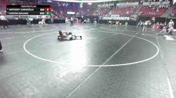 D1-190 lbs Cons. Round 1 - Anthony Caravella, New Berlin West/Eisen. vs Chetan Malkan, Waukesha West