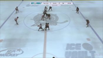 Replay: Home - 2024 Princeton vs Bandits U11 AA | Jan 14 @ 10 AM