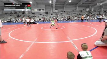 100 lbs Rr Rnd 3 - Alexander Gaudious, Elite NJ Elem vs Liam Woodson, Team RJN Green