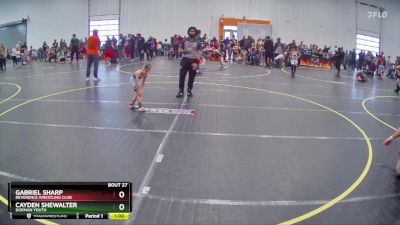 45 lbs Round 2 - Cayden Shewalter, Dorman Youth vs Gabriel Sharp, Reverence Wrestling Club