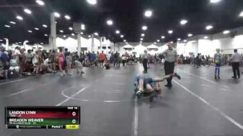 105 lbs Finals (2 Team) - Breaden Weaver, PA Alliance Blue vs Landon Lynn, TDWC