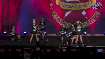 Rebels Elite - Rioters [2024 L2 Junior - D2 - Small - A Day 1] 2024 The American Masterpiece San Jose National