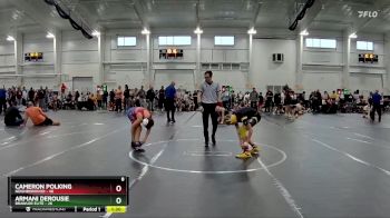 110 lbs Round 7 (10 Team) - Armani Derousie, Brawler Elite vs Cameron Polking, Neighborhood