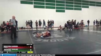 104 lbs Round 2 - Anthony Esoldo, Shadow Ridge vs Brayden Garner, Liberty