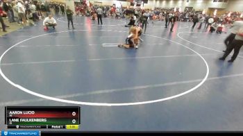 132 lbs Champ. Round 3 - Aaron Lucio, MI vs Lane Faulkenberg, IN