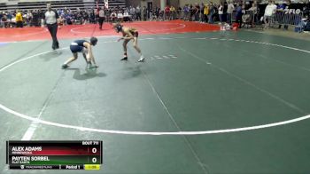 95 lbs Semifinal - Payten Sorbel, Flat Earth vs Alex Adams, Minnewaska
