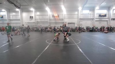 84 lbs Finals (2 Team) - Brielle Richardson, West Virginia Wild vs Cecil Nelson, Contenders WA Green