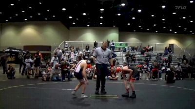 102 lbs Placement (4 Team) - Tyler Davis, Hudson Orange vs Brayden Hopkins, Brighton Orange