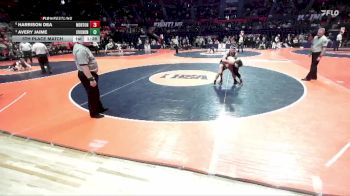 2A 126 lbs 5th Place Match - Avery Jaime, Bethalto (Civic Memorial) vs Harrison Dea, Morton