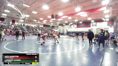 144 lbs Champ. Round 3 - Lorenzo Lujano, Palo Verde vs Jack Hamilton, Scripps Ranch