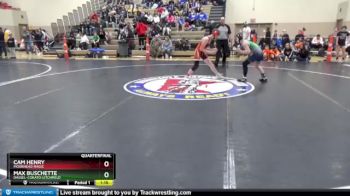 120 lbs Quarterfinal - Max Buschette, Dassel-Cokato-Litchfield vs Cam Henry, Moorhead Magic