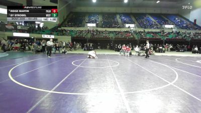 150 lbs Final - Ridge Martin, Palmetto vs Sy Strobel, West-Oak