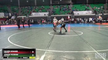 6A 190 lbs Semifinal - Oliver Howard, Decatur vs Stefan McGraw, Pell City