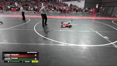 48 lbs Quarterfinal - Asher Cragin, River Falls vs Lyden Tidquist, Arcadia