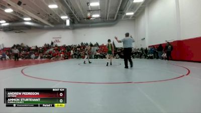 106 lbs Cons. Round 3 - Ammon Sturtevant, Pueblo County vs Andrew Pedregon, Skyview