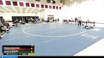 114 lbs Semis & 1st Wrestleback (8 Team) - Tegan Cavanaugh, Charles City, IA vs Hanah Schuster, Apple Valley, MN