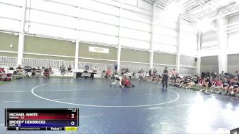 175 lbs Placement Matches (8 Team) - Michael White, Indiana vs Broedy Hendricks, Iowa