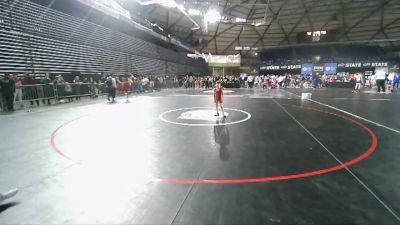 49 lbs Cons. Round 2 - R. Jae Gonzalez, Prosser Wrestling Academy vs Star Paddock, NWWC