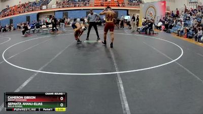 190 lbs Champ. Round 1 - Cameron Gibson, Bishop McNamara vs Sepanta Ahanj-Elias, Bullis School