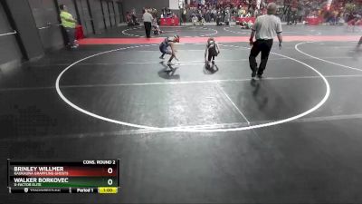 73 lbs Cons. Round 2 - Walker Borkovec, X-factor Elite vs Brinley Willmer, Kaukauna Grappling Ghosts