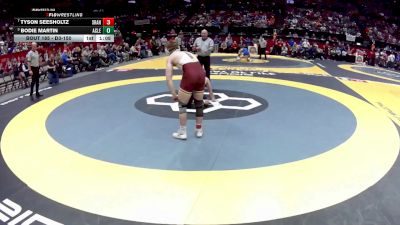 D3-150 lbs Semifinal - Bodie Martin, Amanda-Clearcreek vs Tyson Seesholtz, South Range