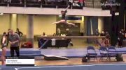 Lily Holland - Women's Group, Mini-Hops Gymnastics - 2021 Women's Xcel Region 4 Championships