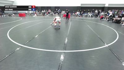 113 lbs Cruz Gannon, Iowa vs Jax Vang, California Gold