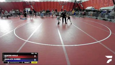 78 lbs Quarterfinal - Hunter Houle, MN vs Gianluca Juarez, IL