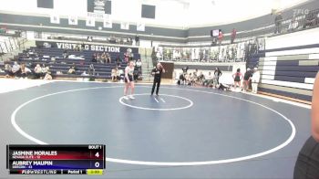 170 lbs Finals (2 Team) - Arianna Santana, Nevada Elite vs Olivia Howell, Oregon