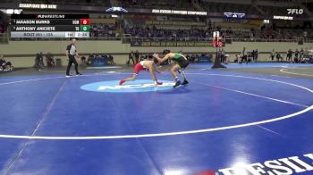 125 lbs Semifinal - Jakason Burks, Central Mo. vs Anthony Aniciete, Tiffin