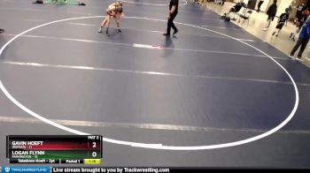 84 lbs Round 4 (6 Team) - Logan Flynn, Farmington vs Gavin Hoeft, Wayzata