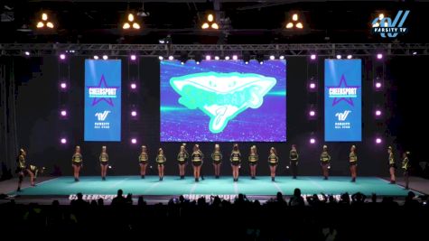 The Stingray Allstars - Star [2024 L6 Senior Coed - Small Day 2] 2024 CHEERSPORT National All Star Cheerleading Championship