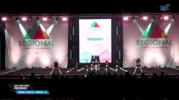 New York Icons - Prodigy [2025 L2 Youth - Small - A Day 2] 2025 The Northeast Regional Summit