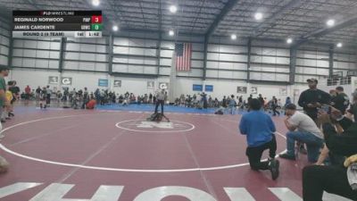 50 lbs Round 2 (4 Team) - James Cardente, GREAT BRIDGE WRESTLING CLUB vs Reginald Norwood, PINNING PYTHONS