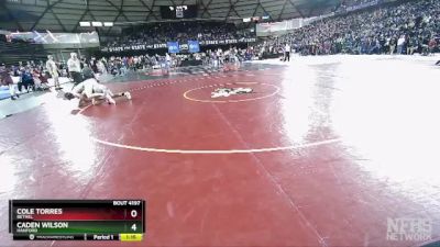 4A 175 lbs Quarterfinal - Caden Wilson, Hanford vs Cole Torres, Bethel