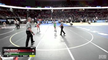 II-102 lbs Champ. Round 1 - Dylan Newman, Falconer/Cassadaga Valley vs John Mignanelli, Island Trees