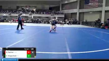 95 lbs Semis (4 Team) - Dresden Wegscheid, Perham vs Brodie Pachan, LPGE/B Wolves