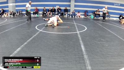 110 lbs Round 6 (8 Team) - Jax Sgrulletta, CTWHALE vs Kalob Rodriguez, Mat Assassins Red