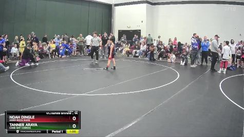 75 lbs Quarterfinal - Noah Dingle, Hard Rock Rams vs Tanner Araya, Cane Bay Cobras