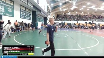 119 lbs Quarterfinal - Amea Whittington, Syringa vs Adriana Hartzell, New Plymouth