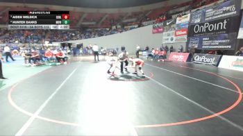 5A Boys 113 lbs Quarterfinal - Aiden Welsick, Centennial Boys vs Hunter Danks, Mountain View Boys