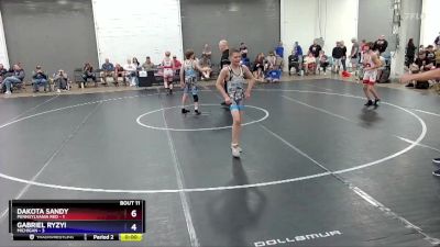 97 lbs Round 3 (8 Team) - Nathan Fenner, Pennsylvania Red vs John McKay, Michigan