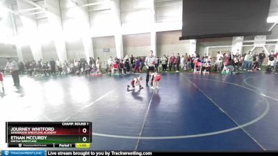 48 lbs Champ. Round 1 - Journey Whitford, Sanderson Wrestling Academy vs Ethan McCurdy, Uintah Wrestling